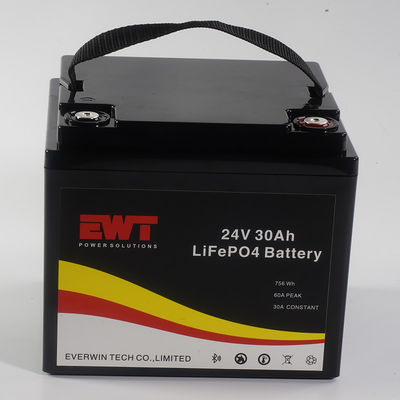 Lifepo4 Przenośny zestaw baterii 24V 30AH z Bluetooth Can